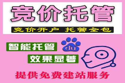 竞价推广公司案例：助力企业实现品牌飞跃